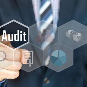 Claves para que las Auditorías de Control Interno sean Eficientes y Eficaces